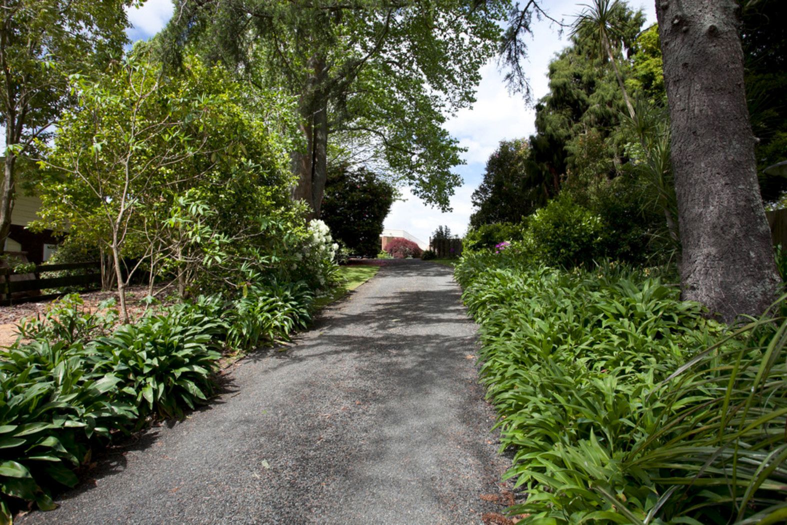 530 Turere Lane, TE AWAMUTU, Waipa District