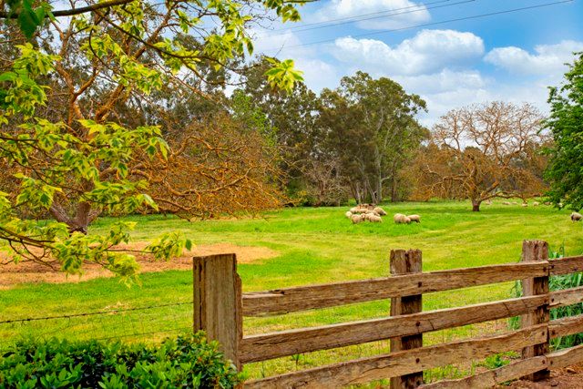 113 Gillentown Road, CLARE, SA 5453