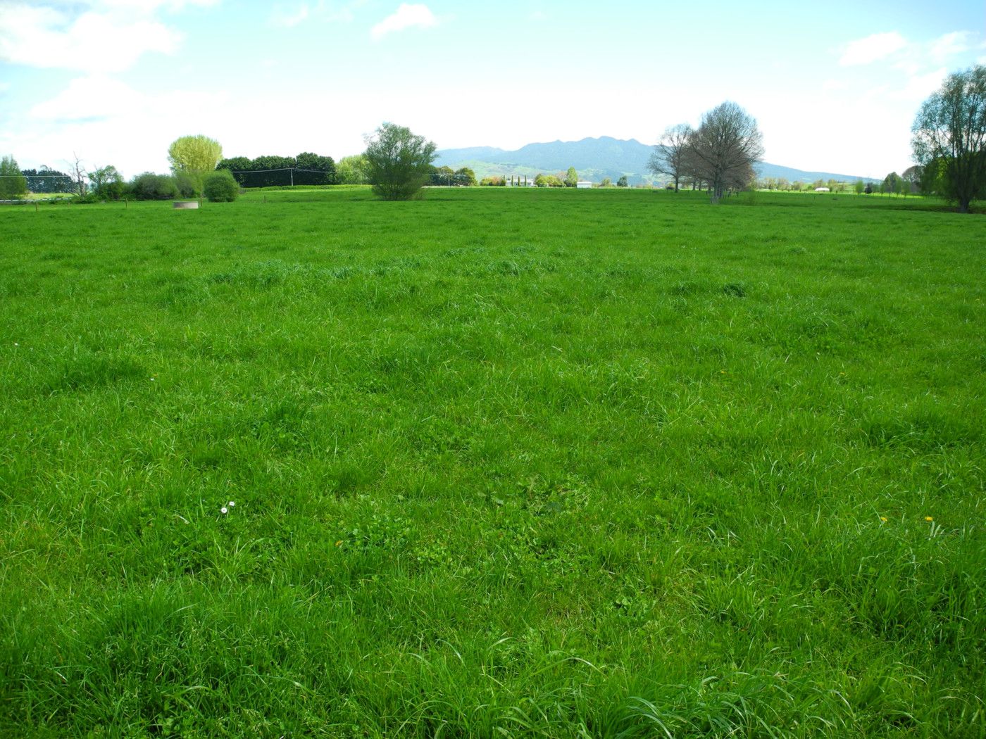 354 Frontier Road, TE AWAMUTU, Waipa District