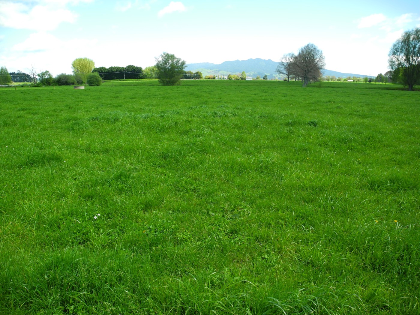 354 Frontier Road, TE AWAMUTU, Waipa District
