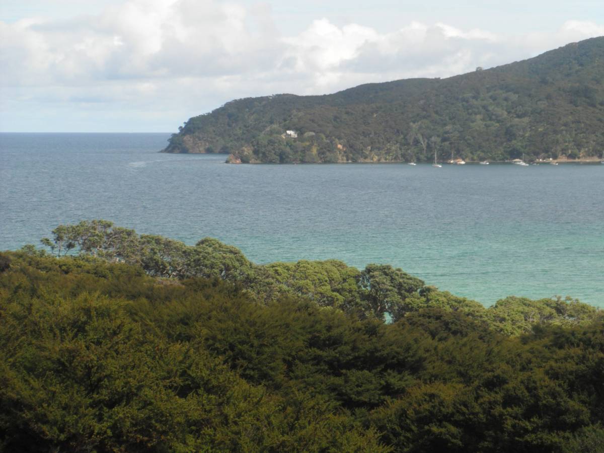 43 Blackwell Drive, Great Barrier Island, Great Barrier Island Real