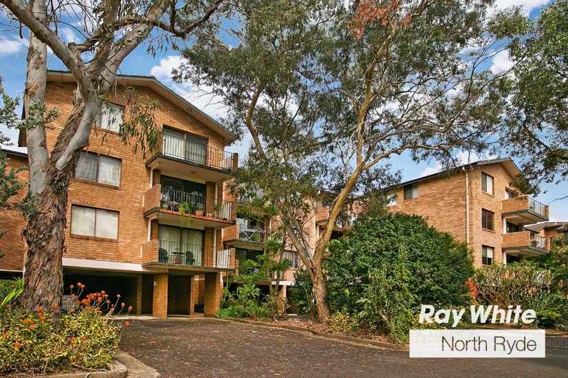 116 Herring Road, MACQUARIE PARK NSW 2113