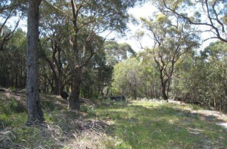 16 Foreman Drive, BARDEN RIDGE, NSW 2234