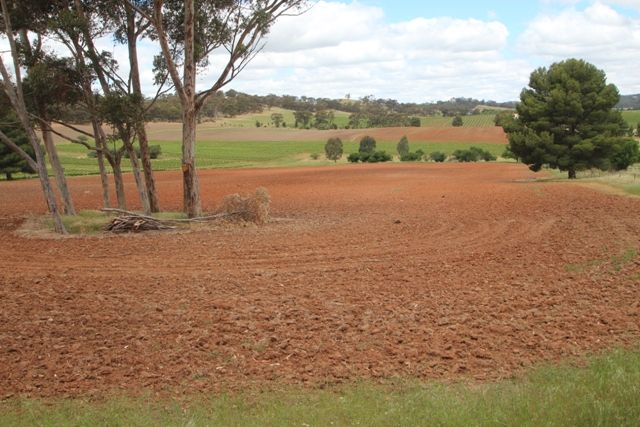 Lot 1226 Stanley Stud Road, CLARE, SA 5453