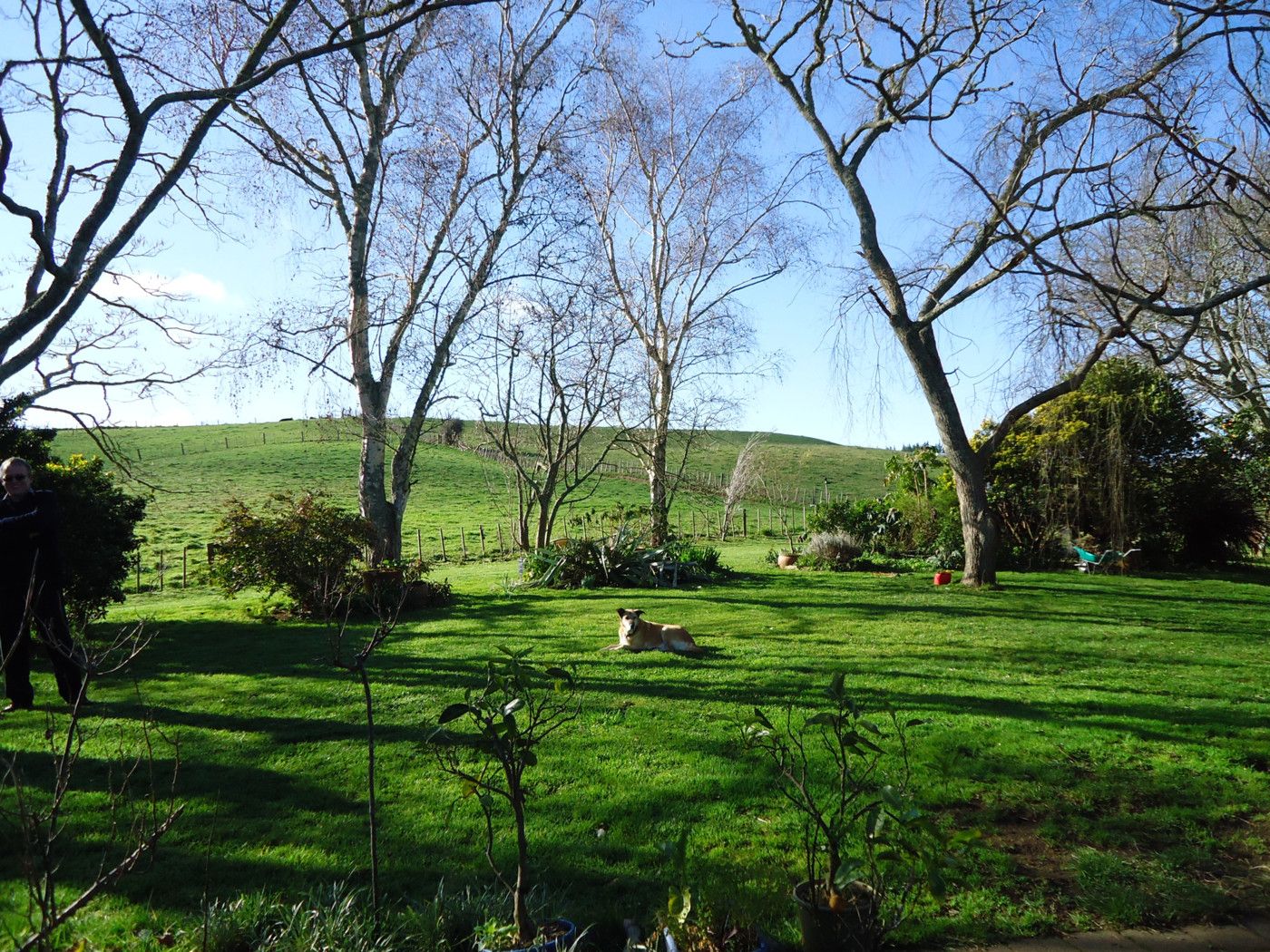 936 Tuhikaramea Road, NGAHINAPOURI, Waipa District
