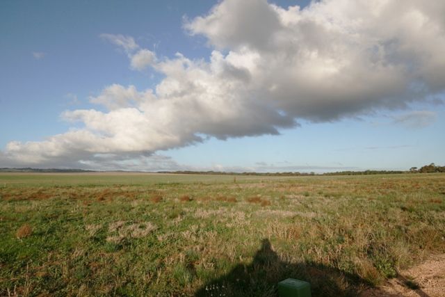 Lot 29 Cook Avenue, BLYTH, SA 5462