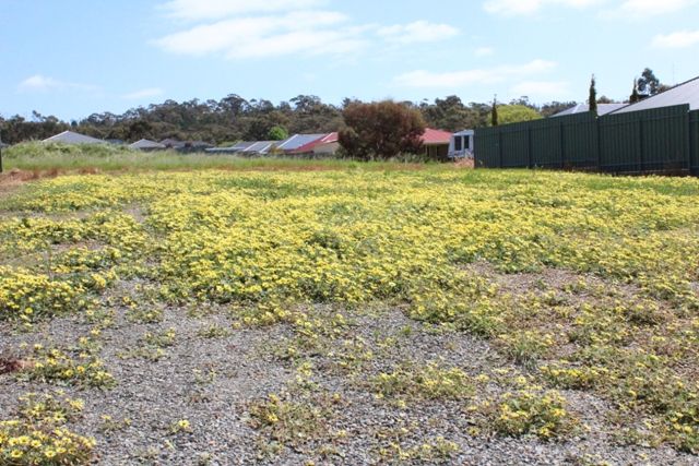 Lot 39 Trezise Way, CLARE, SA 5453