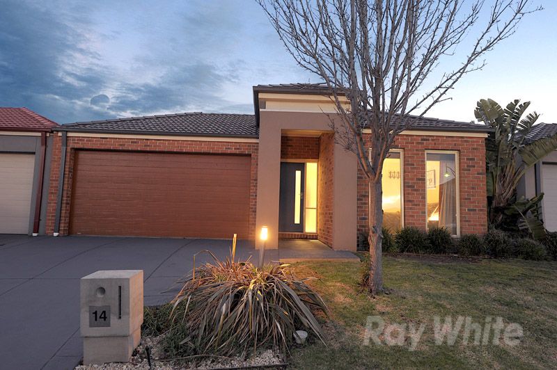 14 Monbulk Crescent, ROWVILLE, VIC 3178