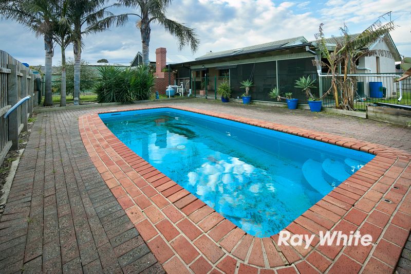 41 Potts Road, LANGWARRIN VIC 3910