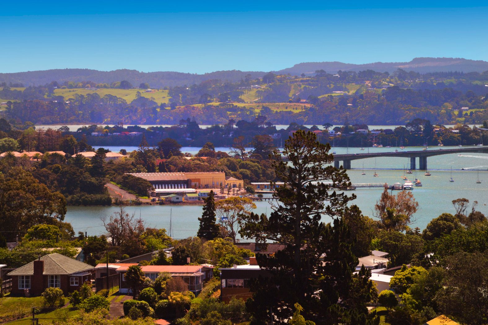 10 Mayall Avenue, BEACH HAVEN, North Shore City