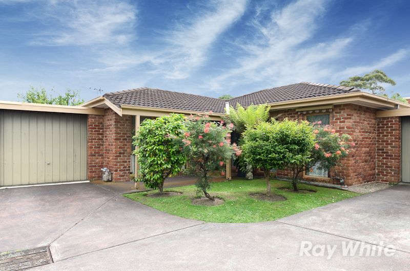 11 Napier Street, MORNINGTON VIC 3931