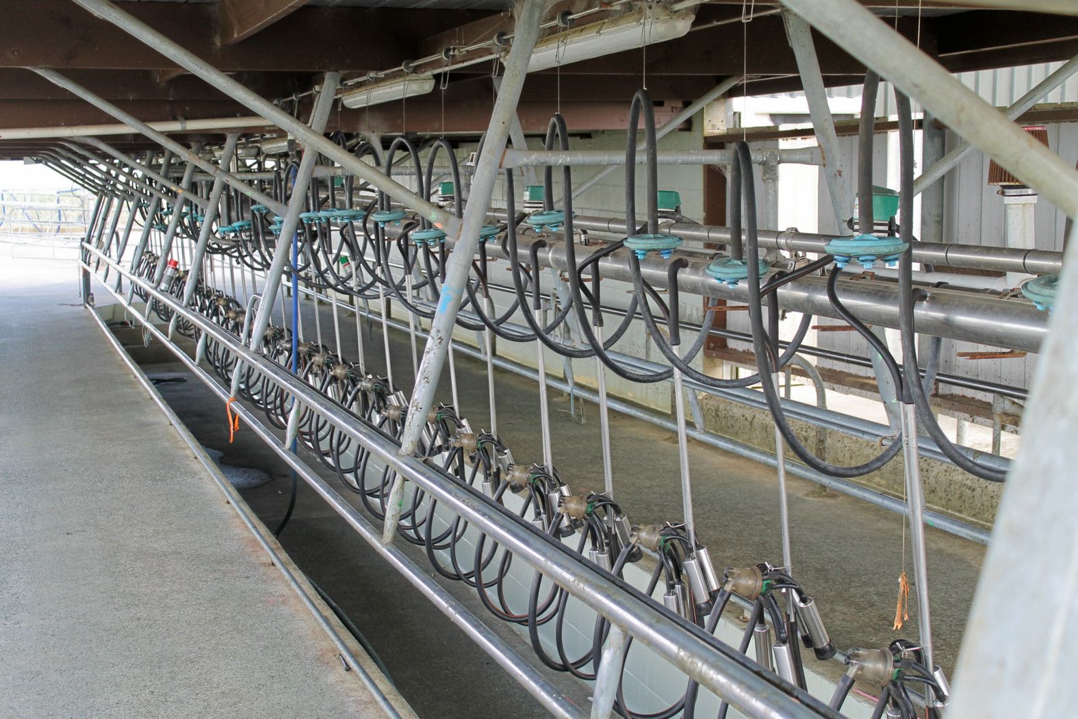 619 Rakauwahia Road, Taheke, Far North District