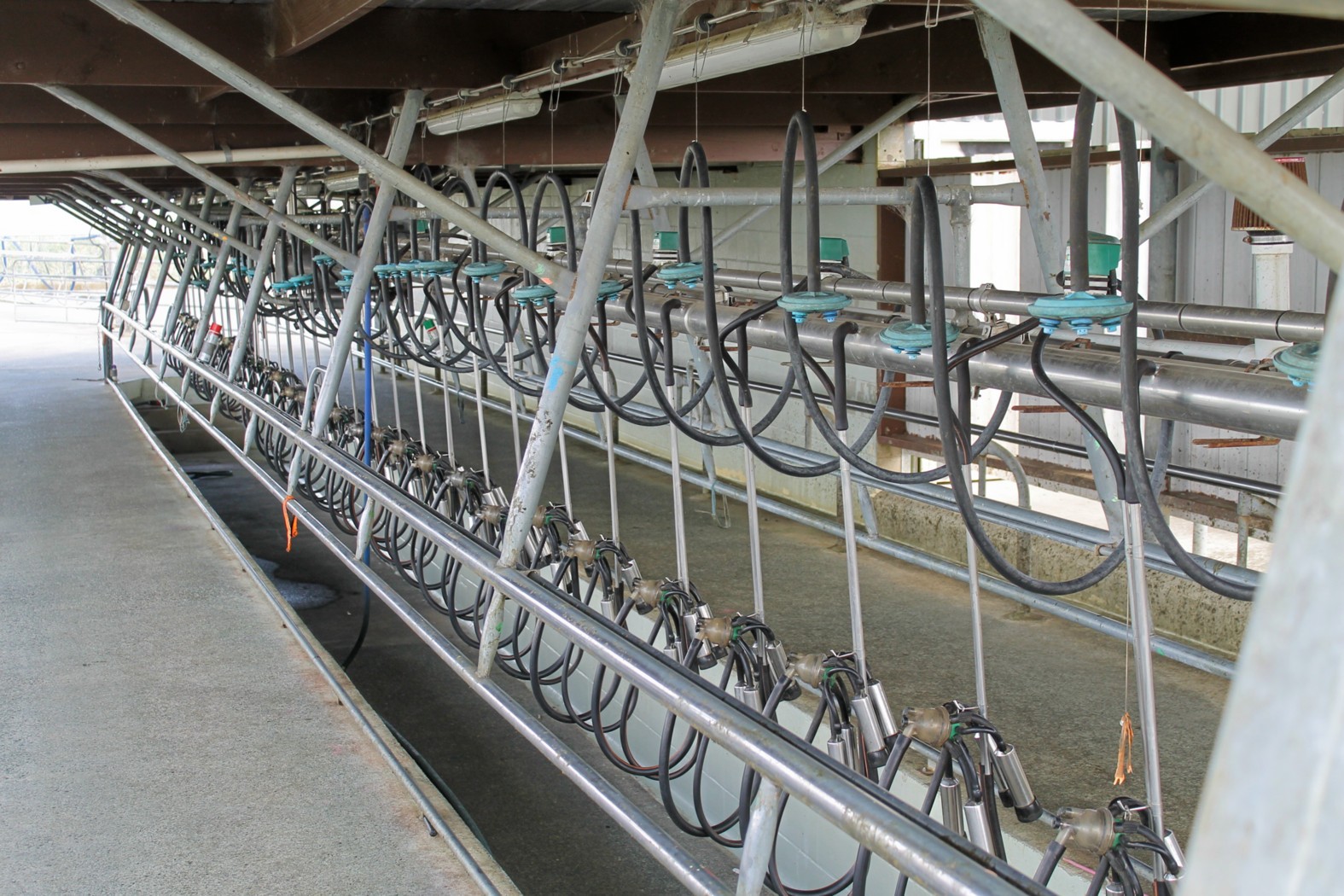 619 Rakauwahia Road, Taheke, Far North District