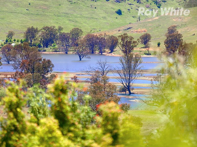 380 Omeo Highway, TALLANGATTA VIC 3700
