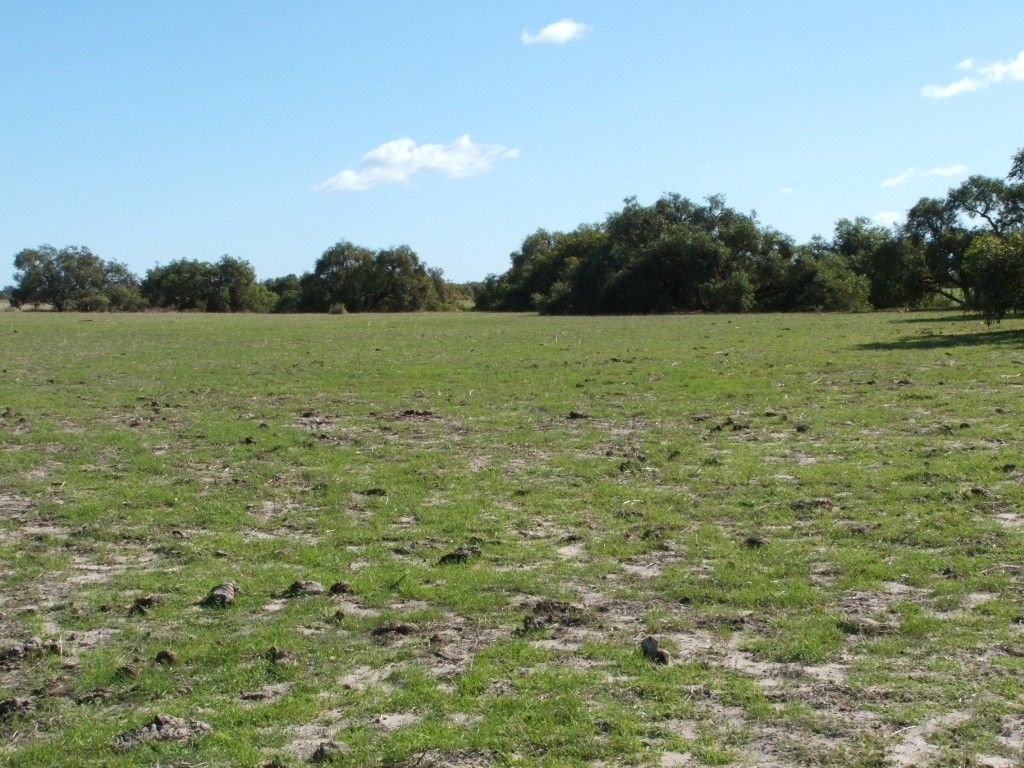 Lot 512 Cockleshell Gully Road, Jurien Bay, WA 6516
