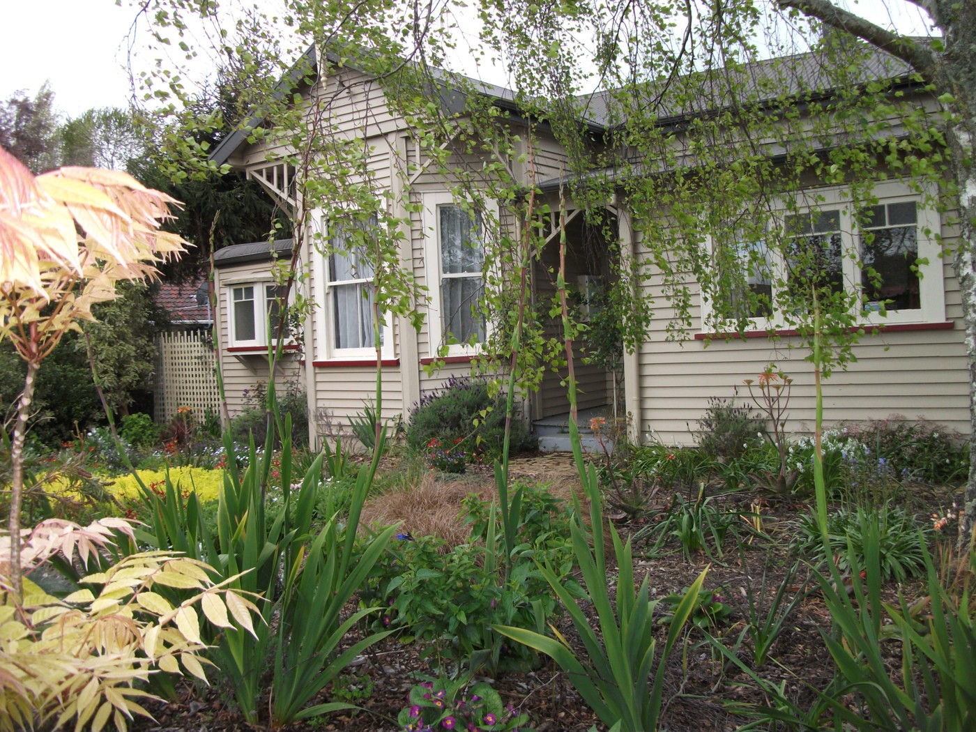 220 Nixon Street, HAMILTON EAST, Hamilton City