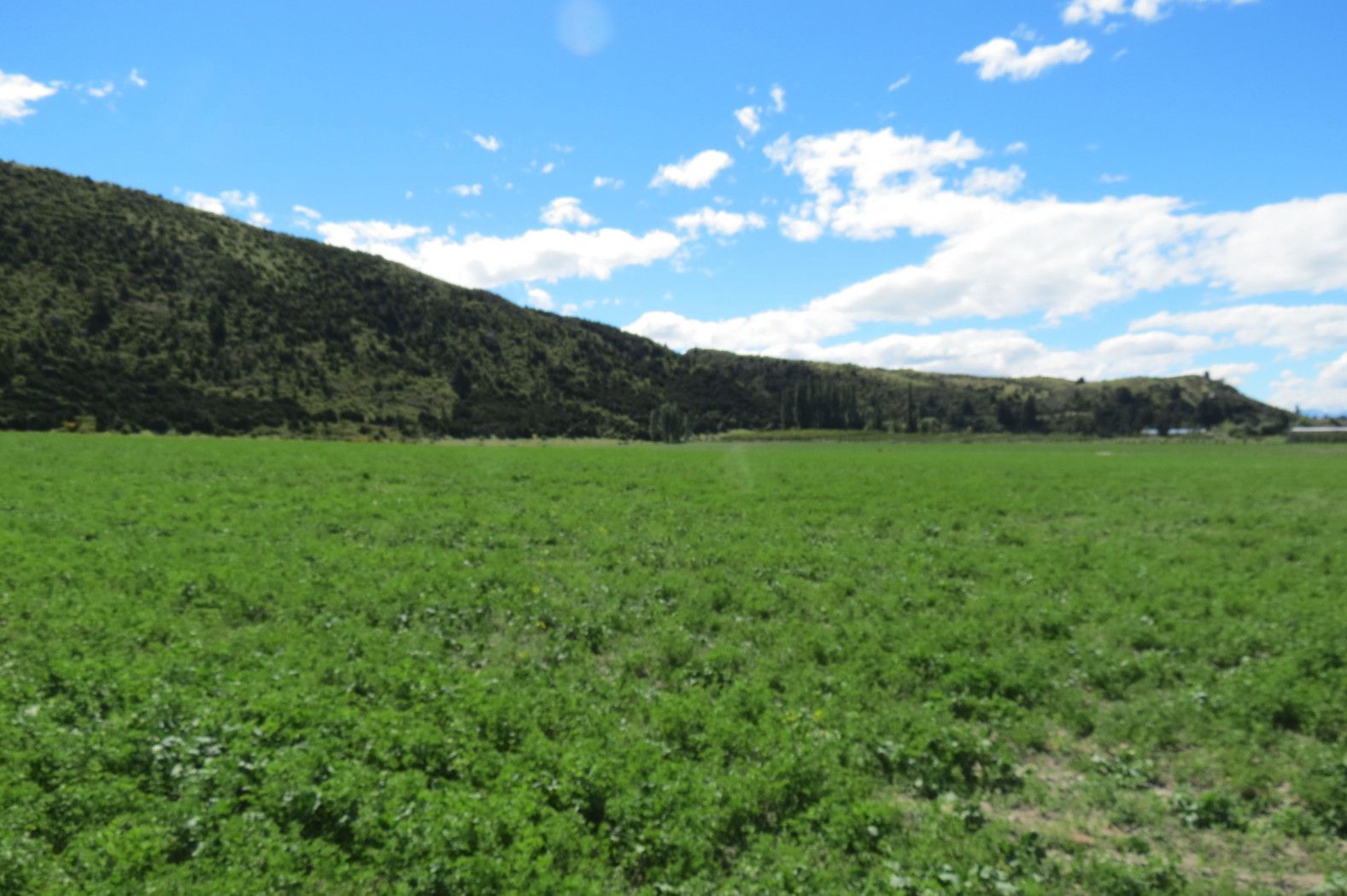 Lot 3 Willowbank Road, Queensberry, Queenstown Lakes District