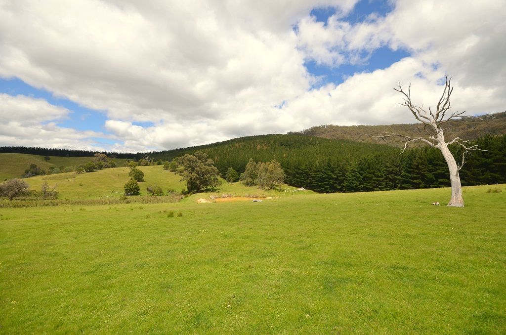 165 Pellets Lane, MOUNT LONARCH, VIC 3468