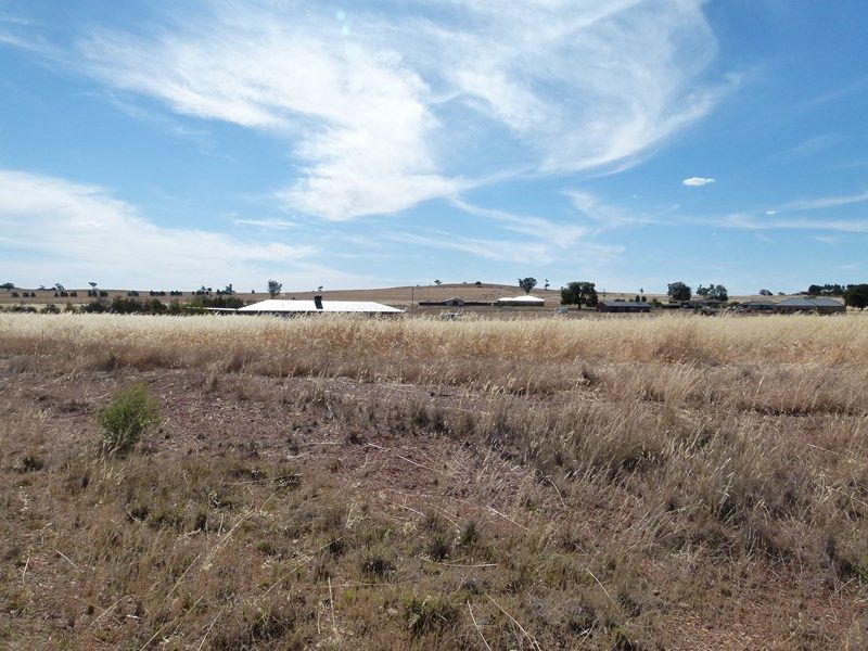 1 Nancye Place, FORBES, NSW 2871