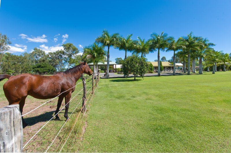 1073 Belmont Road, GLENDALE, QLD 4711