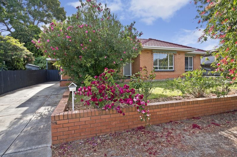 126 Elizabeth Street, BANKSIA PARK SA 5091