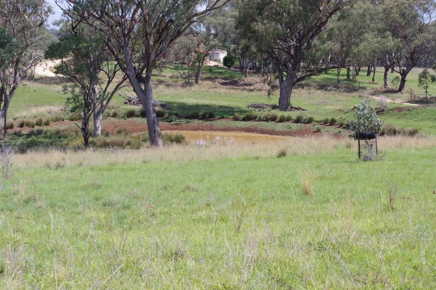 158 Lamonts Lane, INVERELL, NSW 2360