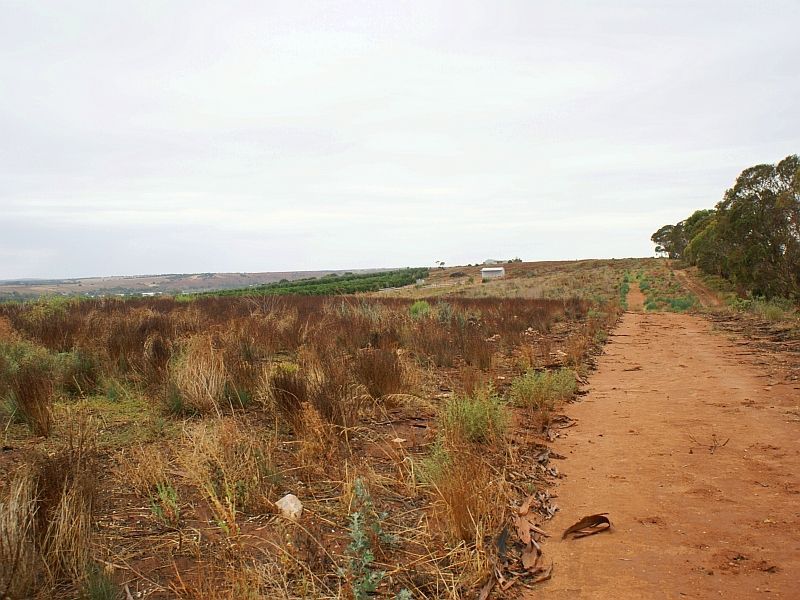 Lot 296 Woodlane Drive, MYPOLONGA, SA 5254