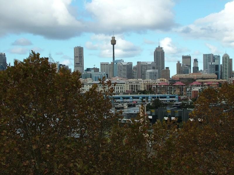 9/19 Sheehy Street, GLEBE, NSW 2037