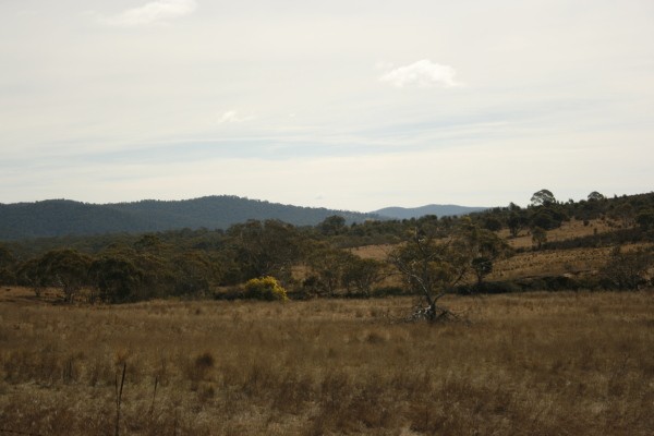 BOMBALA, NSW 2632