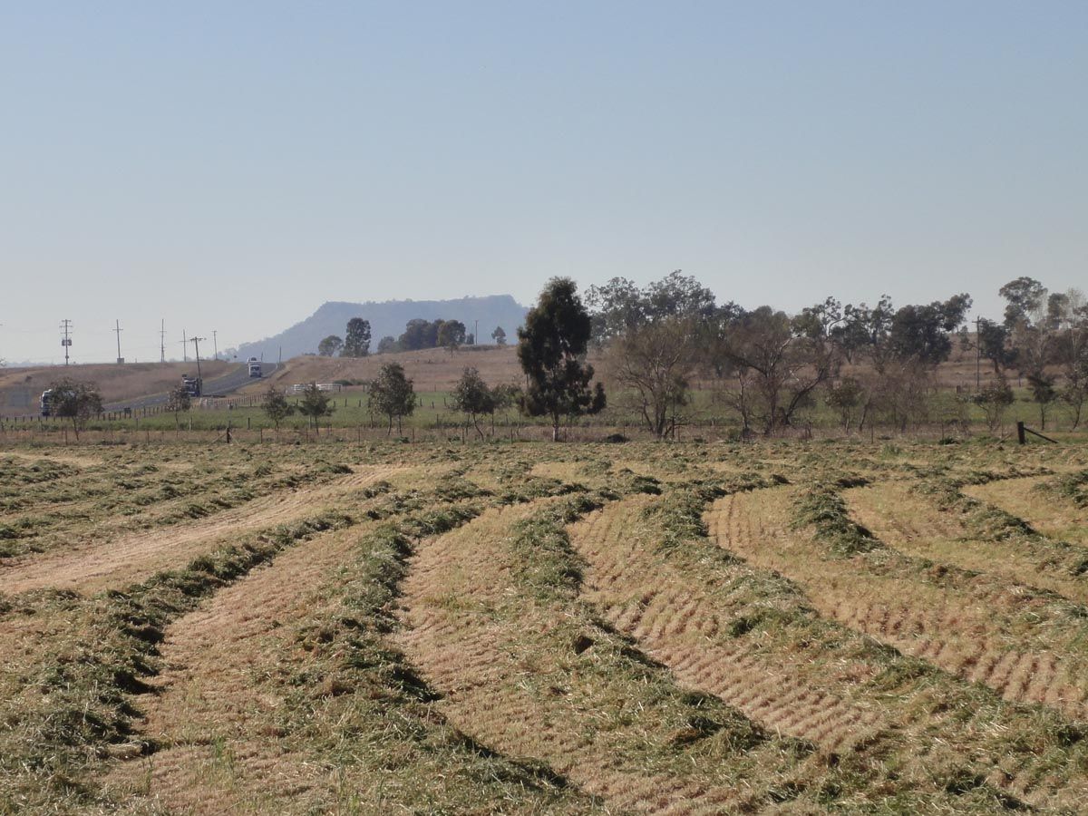 " Willow Glen ", OAKEY, QLD 4401
