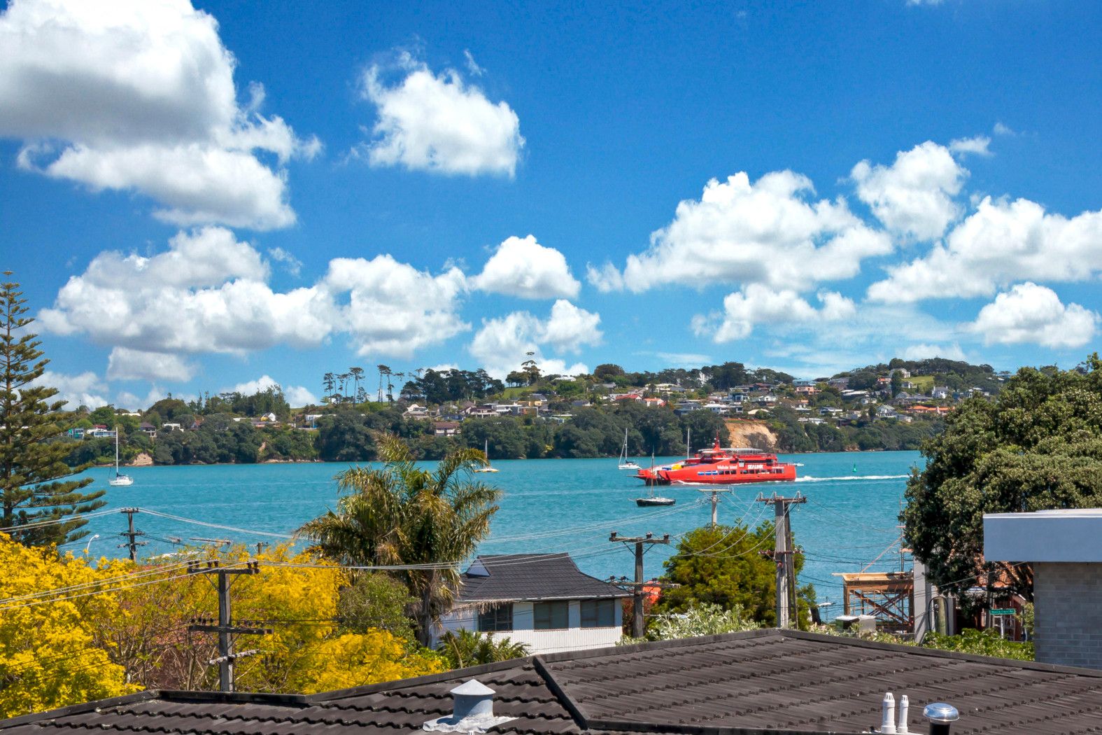 1/8 Morrow Avenue, BUCKLANDS BEACH, Manukau City