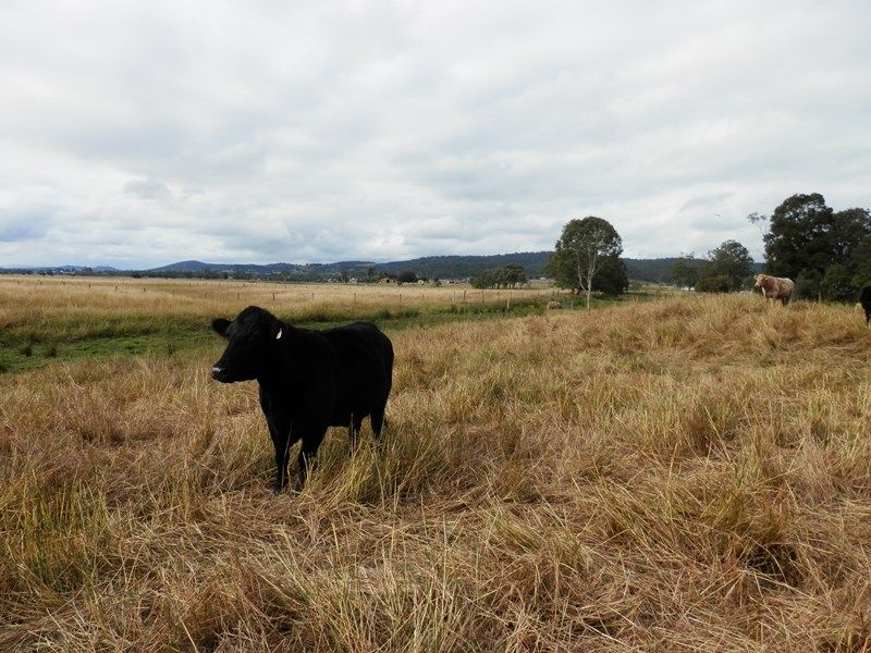 28 Woolshed Creek Road, HATTON VALE, QLD 4341