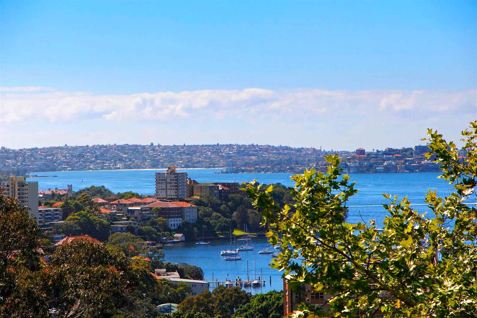 171 Walker Street, NORTH SYDNEY NSW 2060