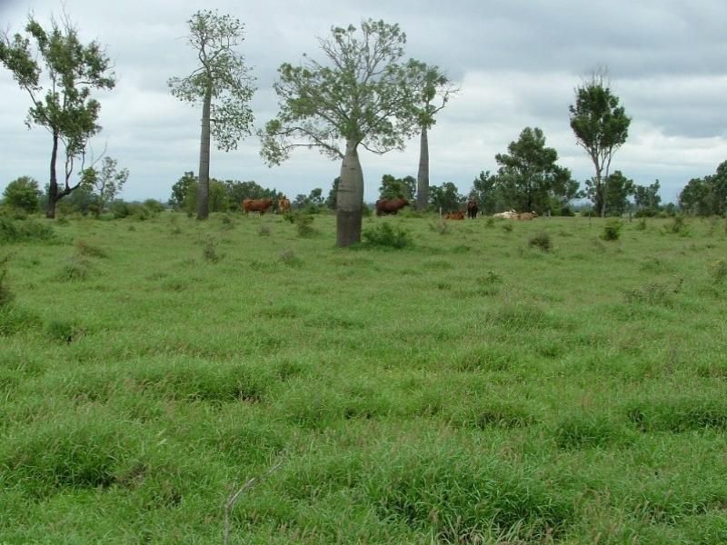 1776 Duaringa Biloela Road, DUARINGA, QLD 4712