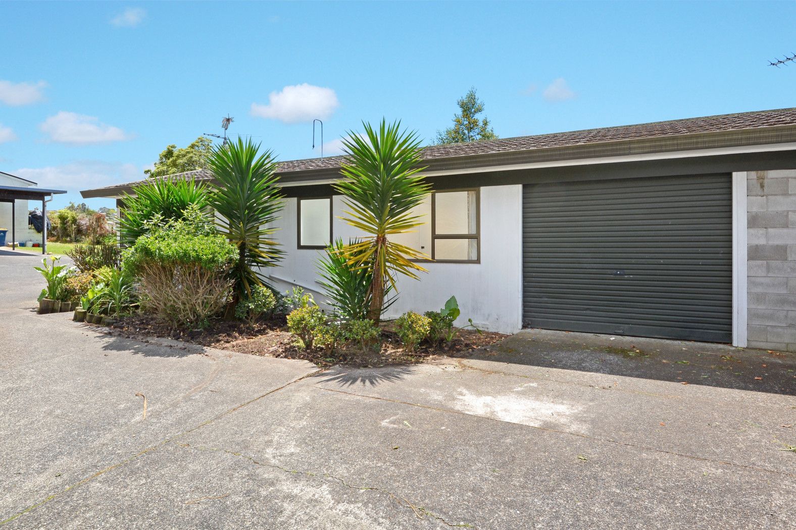 1/29 Velma Road, HILLCREST, North Shore City