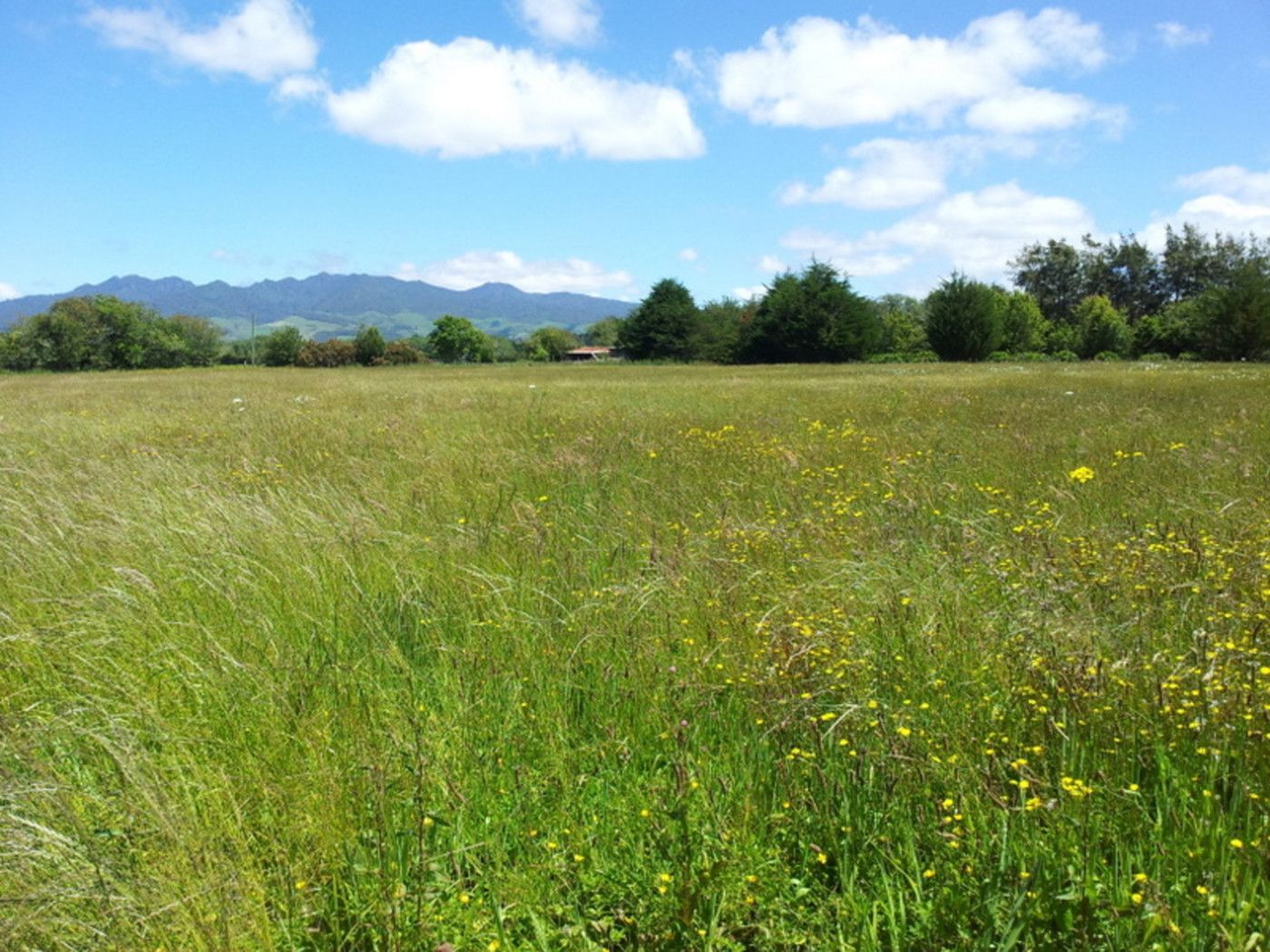 0 Simmond Road, Te Pahu, Waipa District
