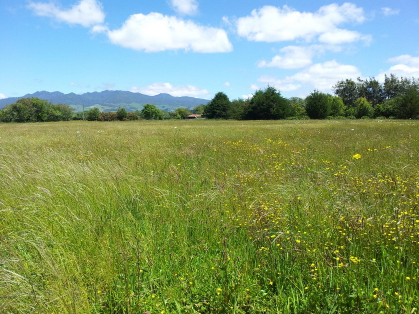 0 Simmond Road, Te Pahu, Waipa District