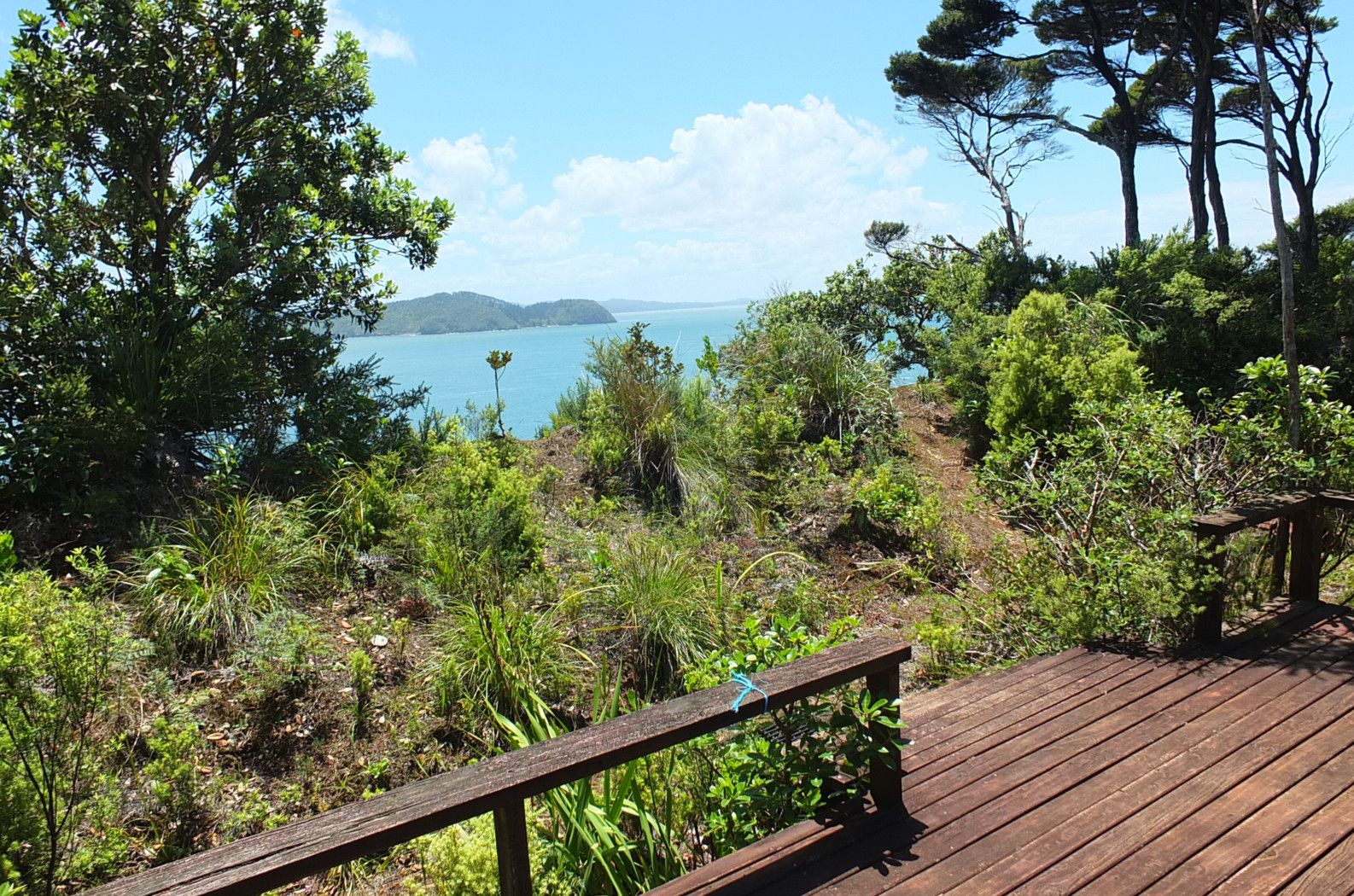 Manukau Heads, Manukau City