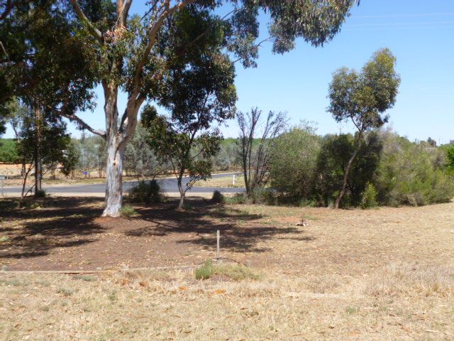17 Gosse Avenue, LOXTON, SA 5333