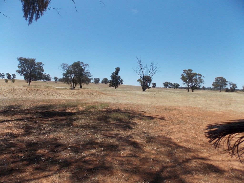 Lot 1 Condobolin Road, PARKES, NSW 2870