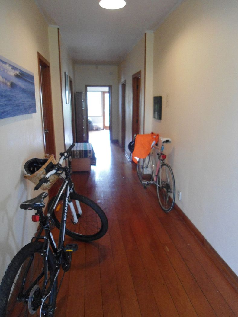 31  Marlborough Street, MT EDEN, Auckland City