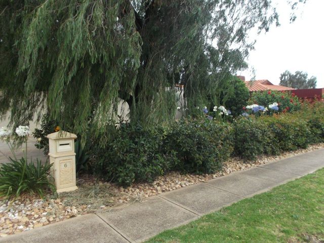 6 Fergusson Terrace, EVANSTON GARDENS, SA 5116