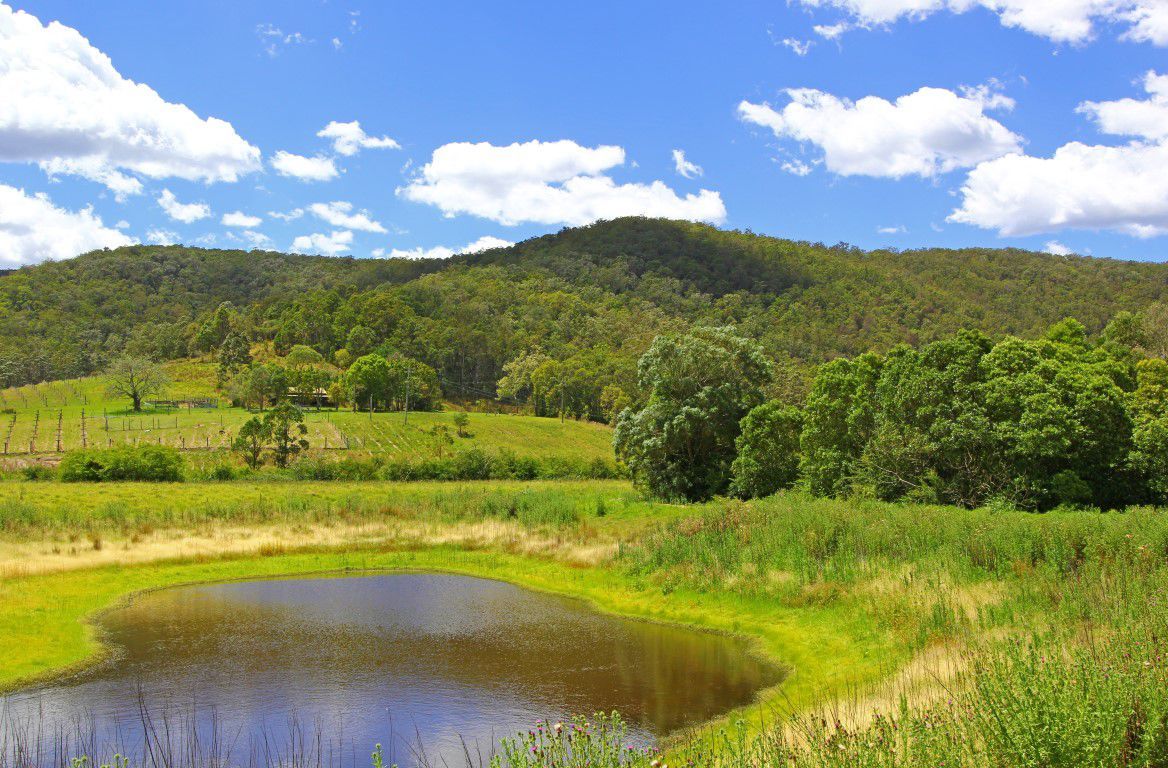 72 Whippet Lane, WYONG CREEK, NSW 2259