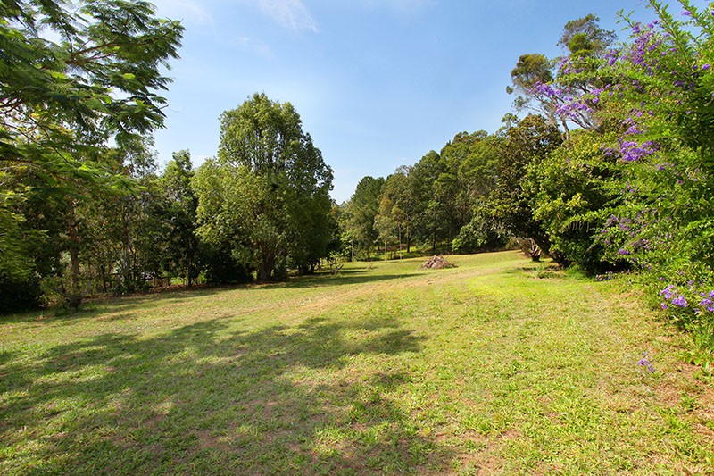 145 Woombye Palmwoods Road, PALMWOODS, QLD 4555