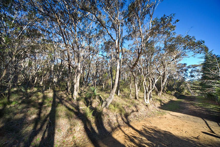54-56 Shipley Road, BLACKHEATH, NSW 2785