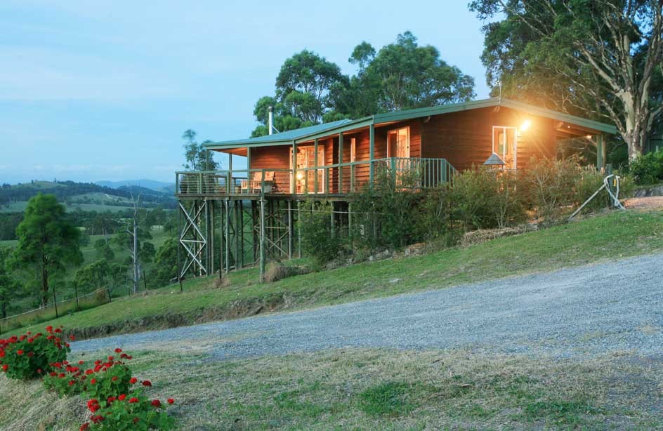 782 Pinebrush Road, DUNGOG, NSW 2420
