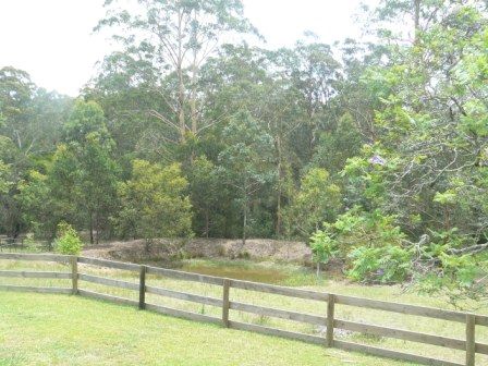 399 Possum Brush Road, POSSUM BRUSH, NSW 2430