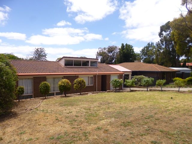 13 Carew Street, REYNELLA EAST, SA 5161