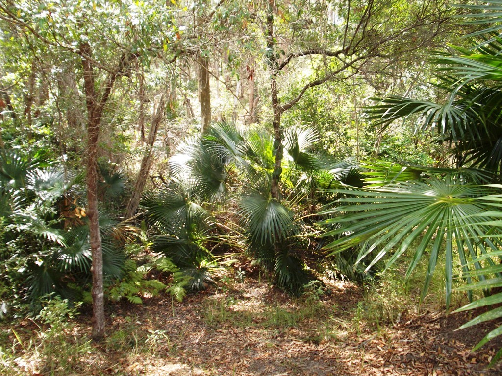 LITTLE MOUNTAIN, QLD 4551