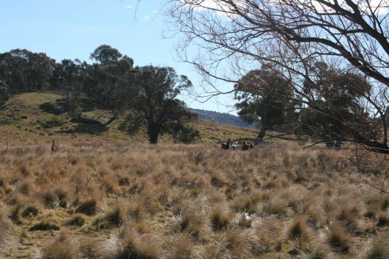 Lot 5 Callemondah Road, SHANNONS FLAT, NSW 2630